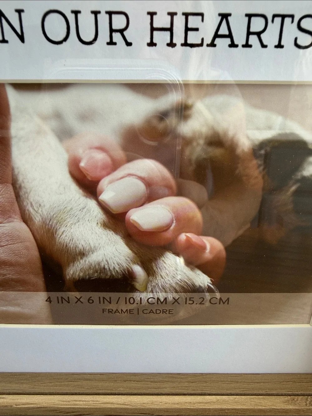 Studio Decor Light Wood Paw Prints Memorial Frame